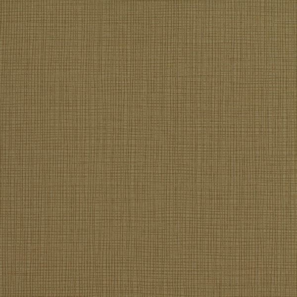 INV-MLW4504-Dried-Basil