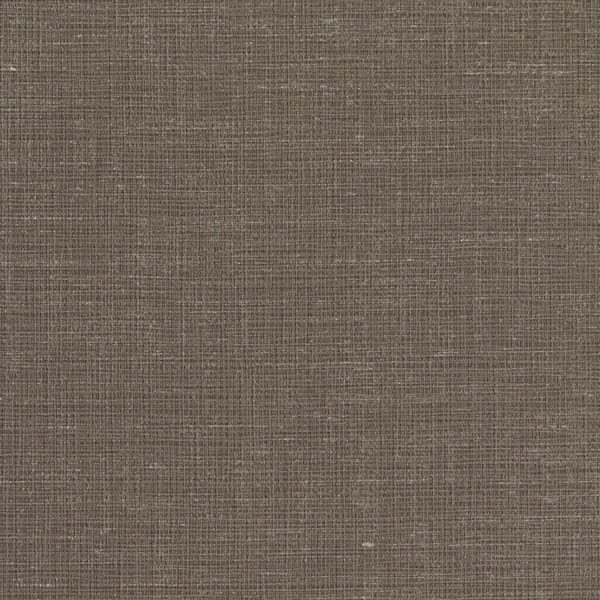 INV-MNI6913-Morel