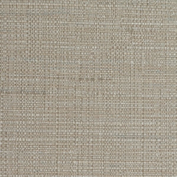 INV-MSC2603-Argos-2