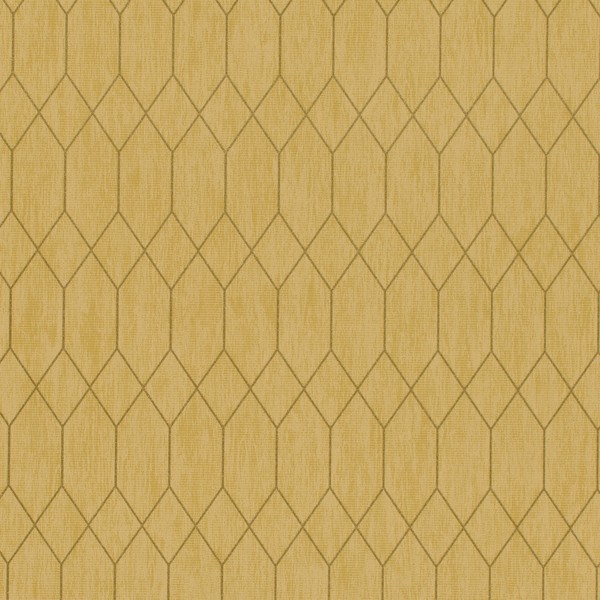 INV-MBX1315-Acacia