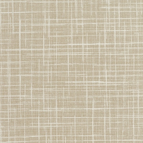 INV-MSE4907-Bone