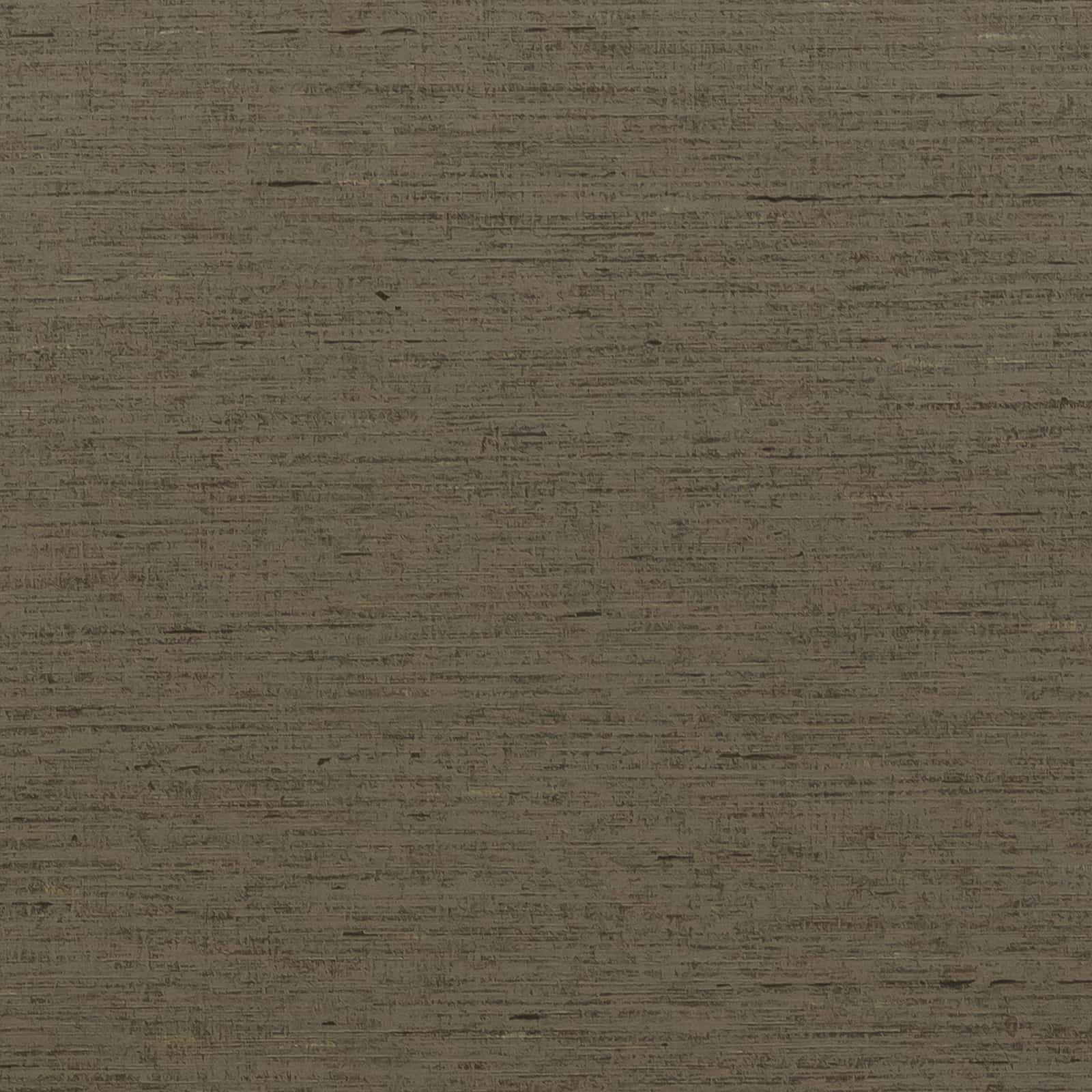 VU-BAC-3081Cocoa