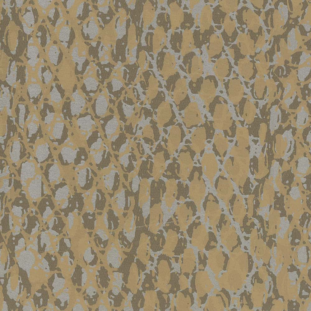 VU-BOA-14-Coachwhip