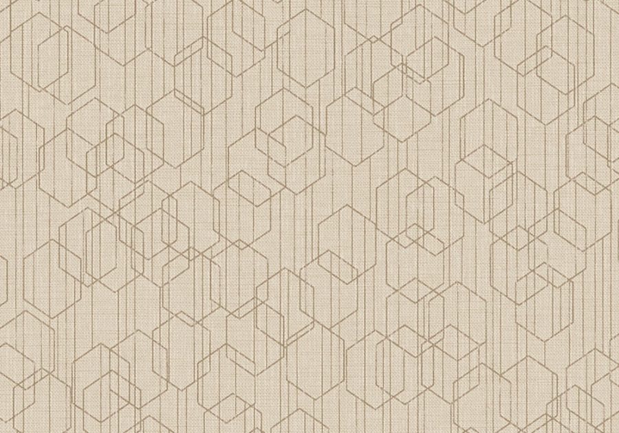 VU-HEX-12-Latitude-1