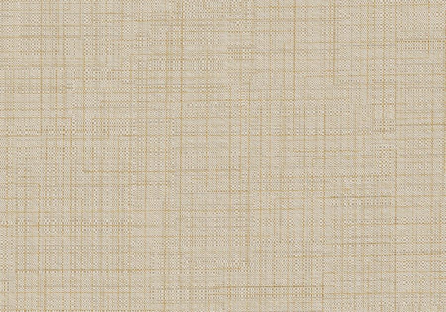 VU-NAG-02-Snickerdoodle-1