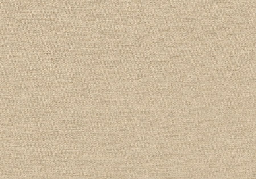 VU-CSM-42-Scribbly-Gum-1