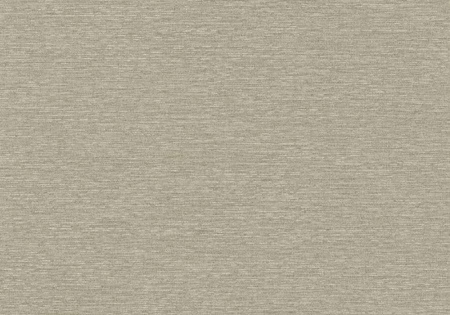 VU-CSS-15-Silver-Fern-1