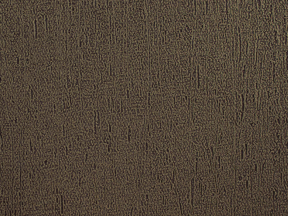 Acacia_8167_Congo